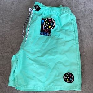 Men’s Pacsun Swim Trunks- mint